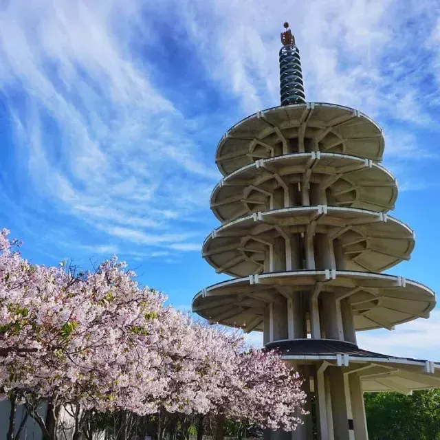 The Peace Pagoda in 结合